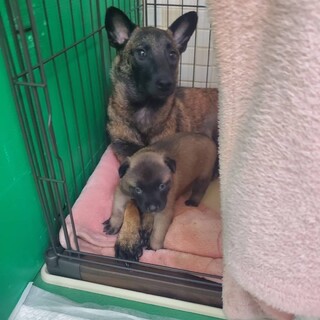 ありがとうございました！