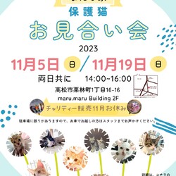 保護猫のお見合い会