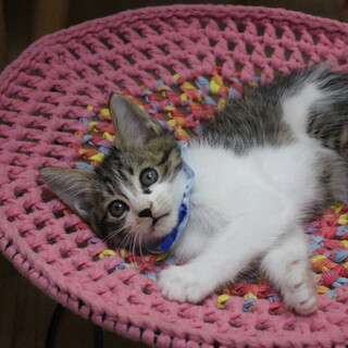 甘えん坊で可愛いしゅーまいちゃん