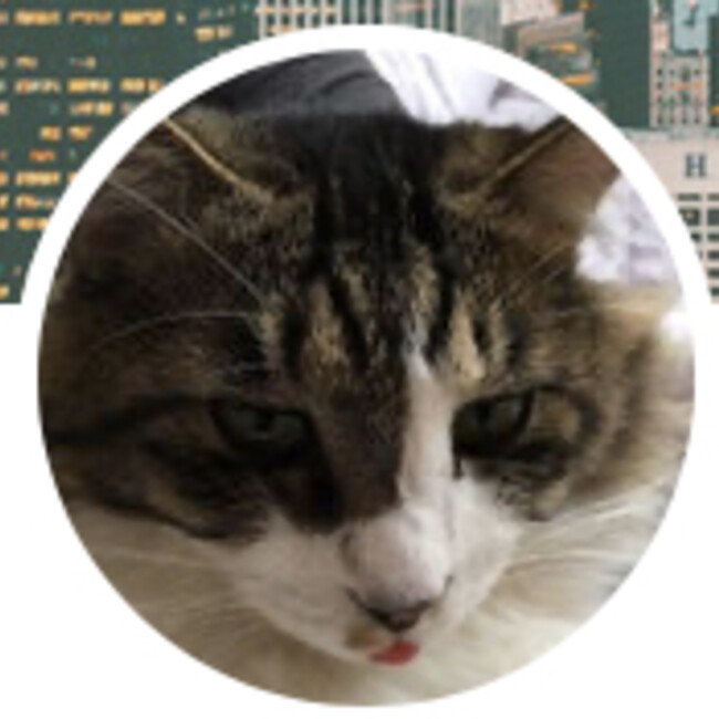 　サイトウ　カオルのカバー写真