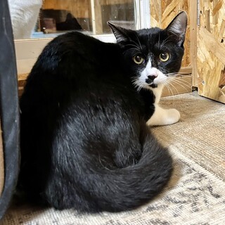 心の広い男の子♥大ちゃん