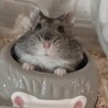 あおはるまま