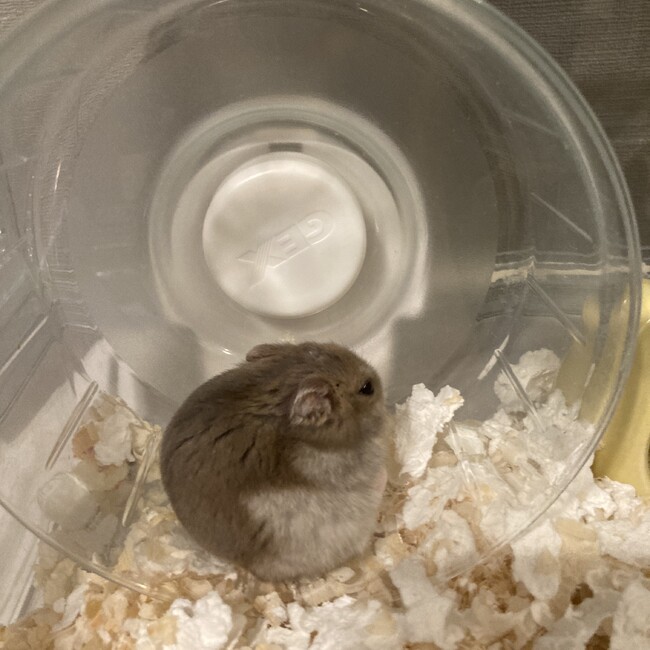 あおはるままのカバー写真