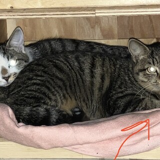 【現在：応募者と相談中です】