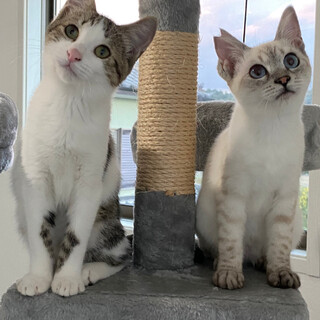 おとくん他ボラさんより決定！