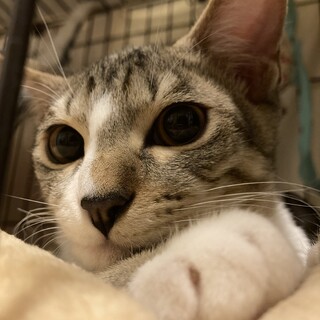 甘えんぼでシャイな男の子⭐︎