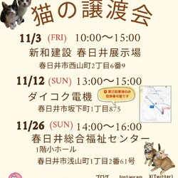 保護猫の譲渡会in春日井