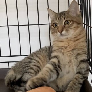 沖縄4兄妹お目めパッチリ甘えん坊のナル君♣