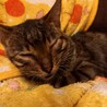 お迎えありがとうございました。 サムネイル3