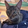 お迎えありがとうございました。 サムネイル6