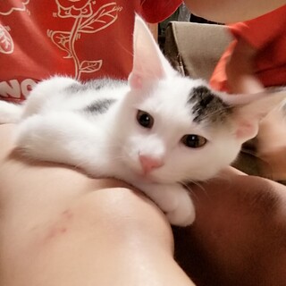 人が大好きすぎるボブ君