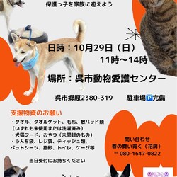 いぬねこ譲渡会