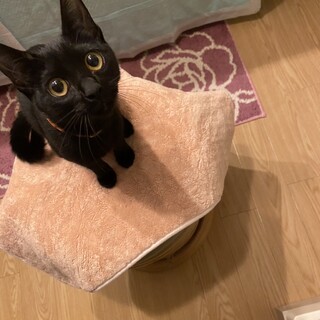 10/29稲毛海岸ෆ⃛甘えん坊ですෆ⃛ポーちゃん