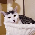 甘えん坊なくーちゃん♪♪