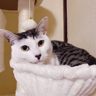 甘えん坊なくーちゃん♪♪