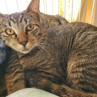 ちょっと臆病だけどとっても仲良し兄弟