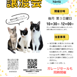 ねこカフェin小さな譲渡会