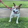 いつもの公園でリラックス