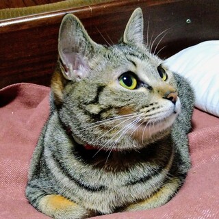 タレ目でまあるいお顔が可愛い♡うたこ♡