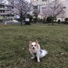 公園にて(お散歩中)