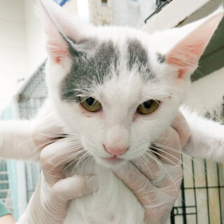 12月期限有り！人好きグレーブチ男子⭐️ゆきち