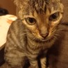 お迎えありがとうございました。 サムネイル2