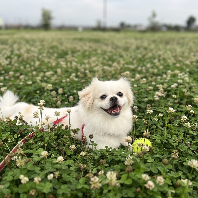 ぽっくん⭐︎のカバー写真