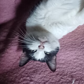 マイペースなお嬢さん❤️みぃみです。