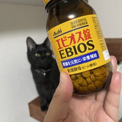 子猫たち、お腹ぴーぴーＤＡＹ９