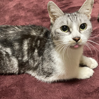 サラちゃんがいたら毎日が幸せ！甘えん坊の９歳