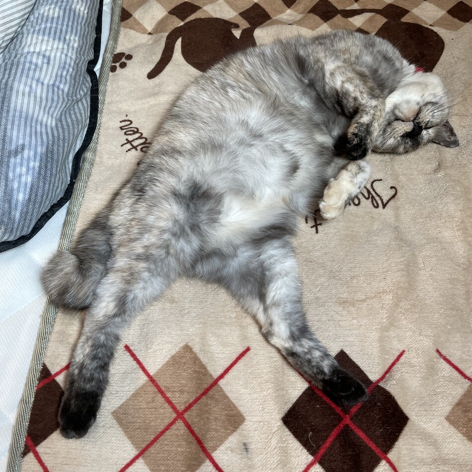 とこねのカバー写真