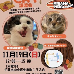 ねこの譲渡会 サムネイル1