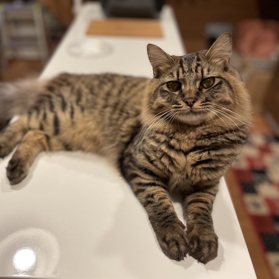くるみのカバー写真
