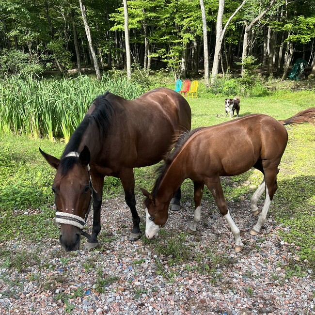 Buddy.のカバー写真