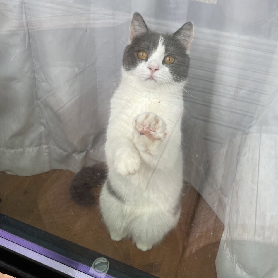 うしまるのカバー写真