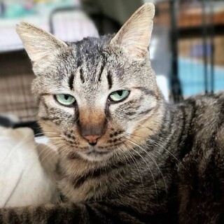 ありがとうございました