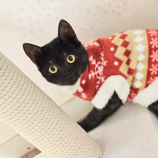 ☆一足早く雪ん子ちゃん☆