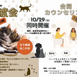猫の譲渡会