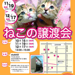 猫の譲渡会