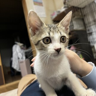 天真爛漫♪お目目まん丸な甘えん坊