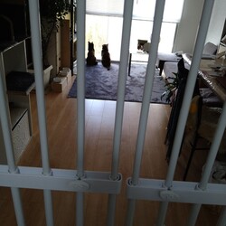 こそこそと・・・