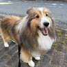 まえはらさん