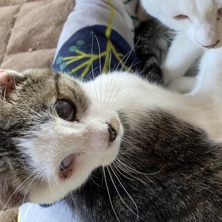 3姉妹　片目でもポジティブで前向き明るいララちゃん