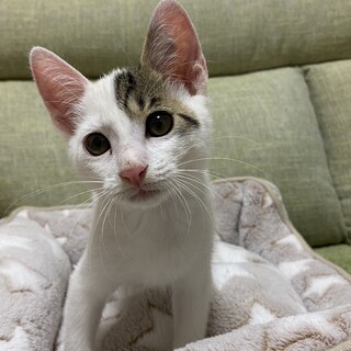 イケメン4兄弟！