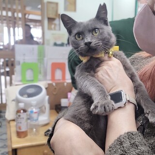 突然お外に放り出されました