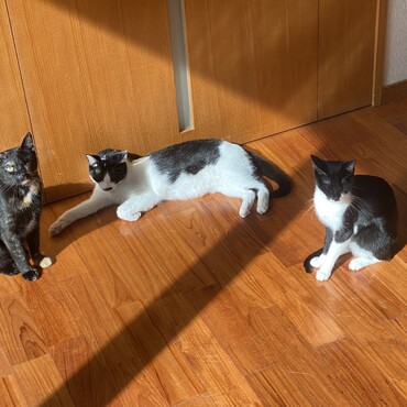 の写真