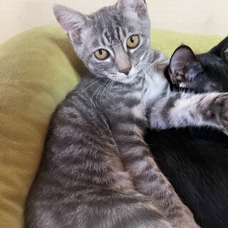 キュンとする可愛さ❤️