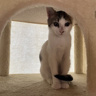 お姉ちゃん大好き　仲良し姉妹❤️