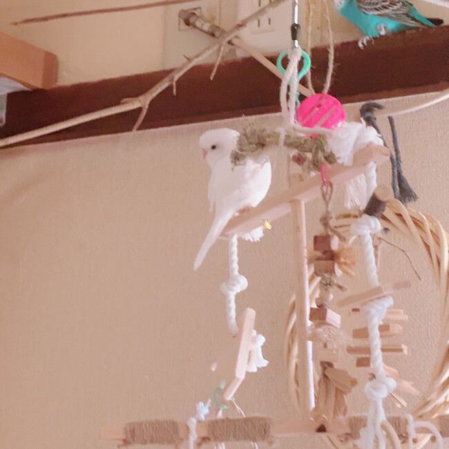 むうた  0606のカバー写真