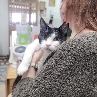 突然お外に放り出されました